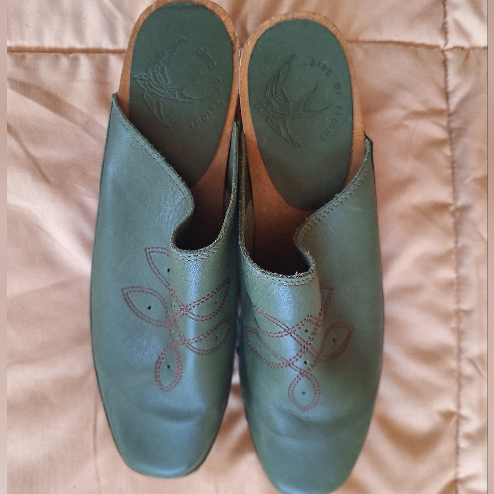 Green Bird Of Flight Clogs